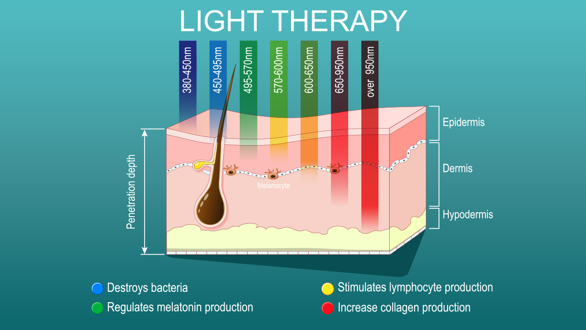 A graph with skin cross section showing how deep each LED light color penetrates the skin; epidermis, dermis, hypodermis